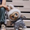 POP MART Labubu Replacing Clothes Set, ZIMOMO V2 Outfit (No Dolls)